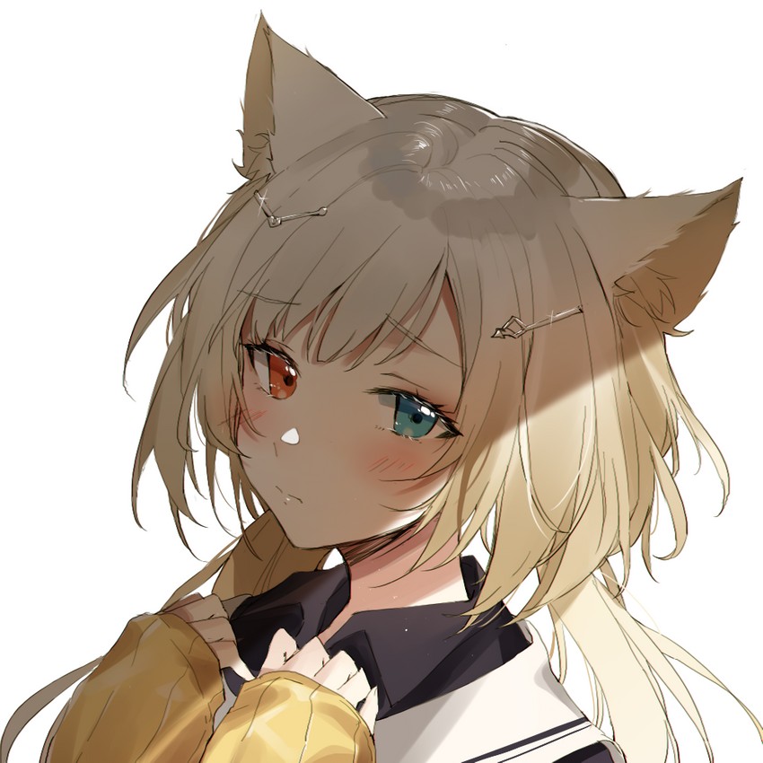 Profilbild